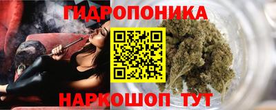 сатива Заволжье