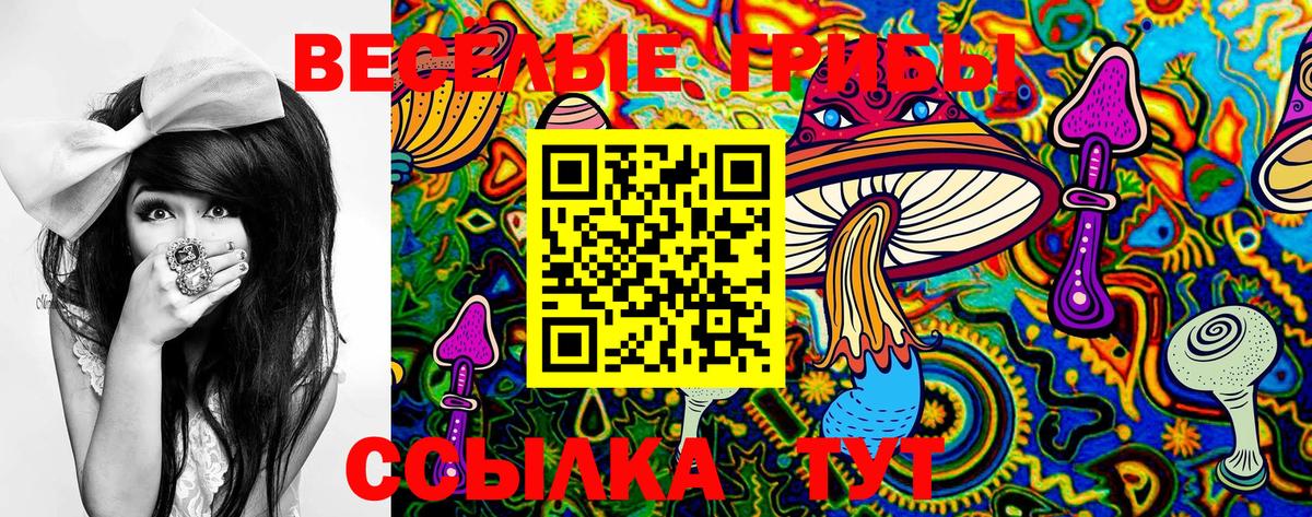 Псилоцибиновые грибы мицелий Кушва